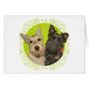 Vete- & svarta skotska terrier hälsningskort
