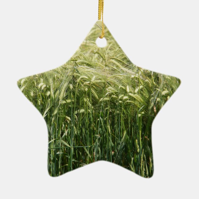 Vete - vacker! julgransprydnad keramik (Baksidan)