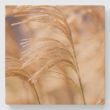 Veteåkersandstenkustfartyg