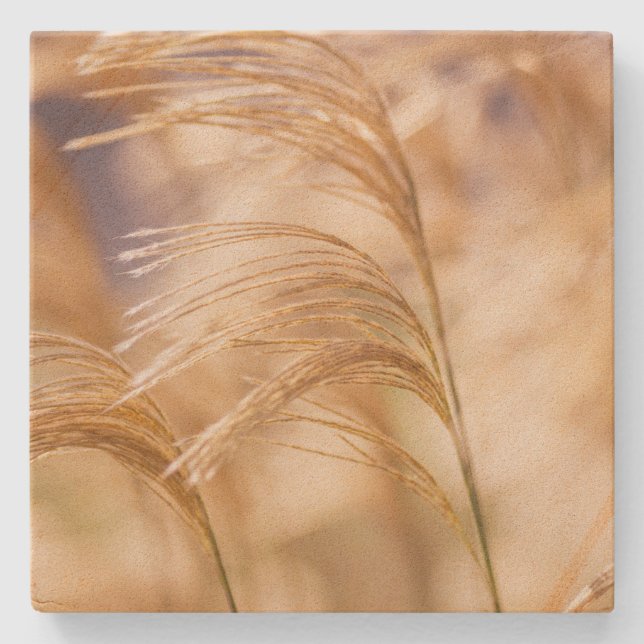 Veteåkersandstenkustfartyg Underlägg Sten (Framsidan)