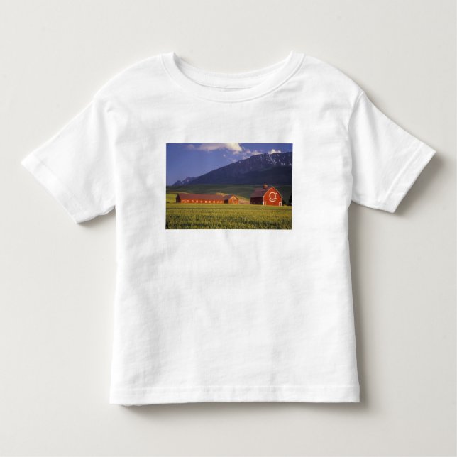Vetefält i den Wallowa dalen, precis utanför Tee Shirt (Framsida)