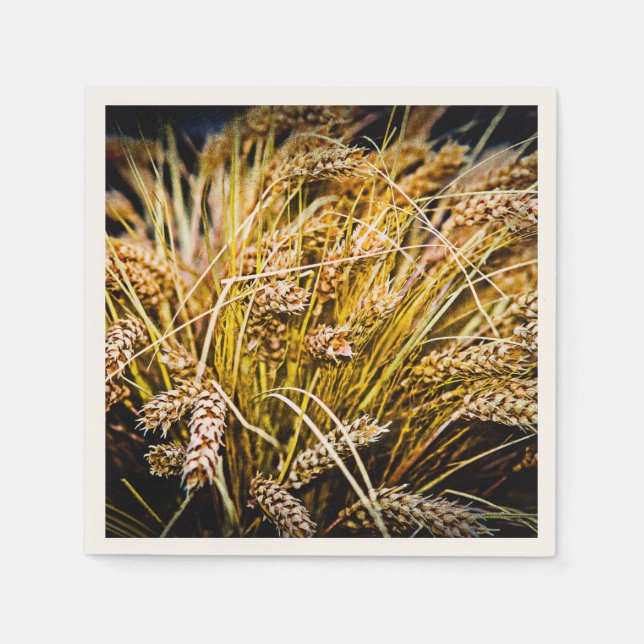 Vetekakor - Tack Pappersservett (Framsidan)