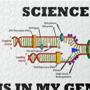 Vetenskap är i min gener (DNA-replicationen) Pussel