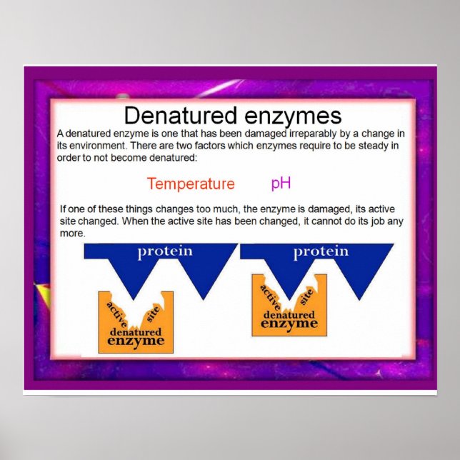 Vetenskap, digitalisering,Denatured Enzymes Poster (Framsidan)