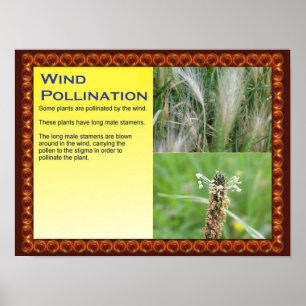Vetenskap, växter, reproduktion, pollinering av Vi Poster