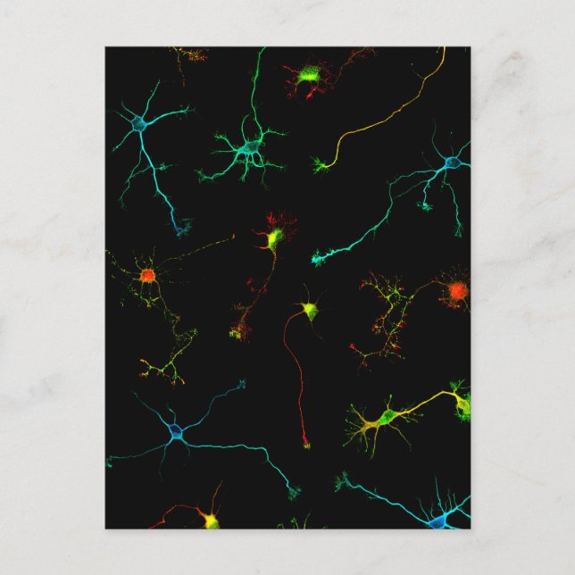 vetenskap vykort (Framsida)