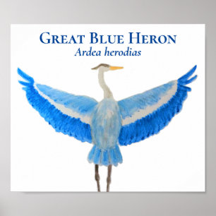 Vetenskaplig fågelfärgsfärg Underbar blå Heron Poster