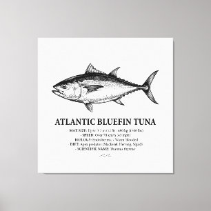 Vetenskaplig illustration av atlantisk blåfena  canvastryck