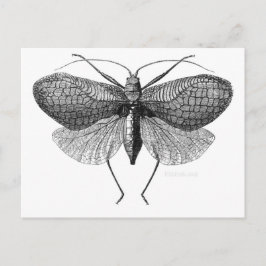 vetenskaplig illustration av månad vykort