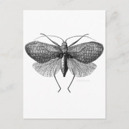 vetenskaplig illustration av månad vykort