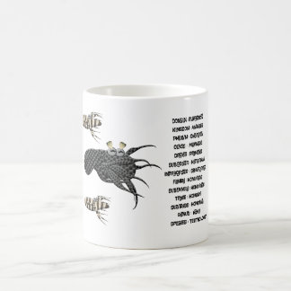 Vetenskaplig klassificering för teuthologerna.  kaffemugg
