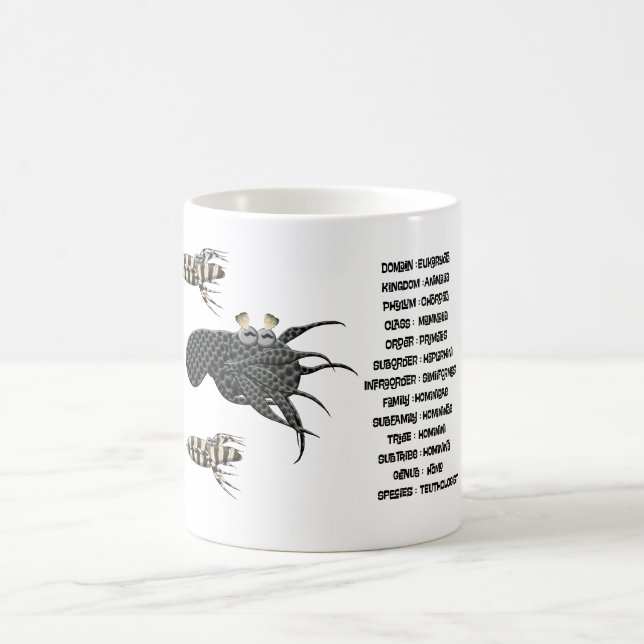 Vetenskaplig klassificering för teuthologerna.  kaffemugg (Center)