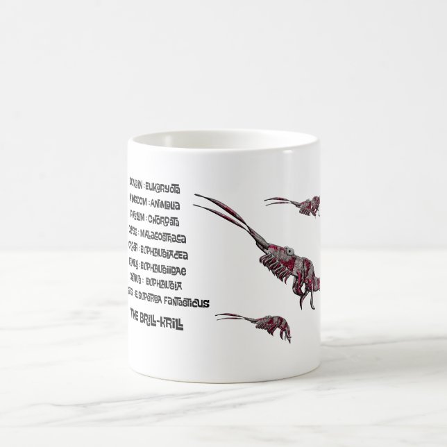 Vetenskaplig klassifikation för lysräkor  kaffemugg (Center)