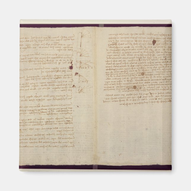 Vetenskapliga diagram magnet (Framsidan)