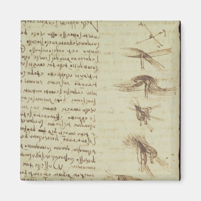 Vetenskapliga diagram magnet (Framsidan)