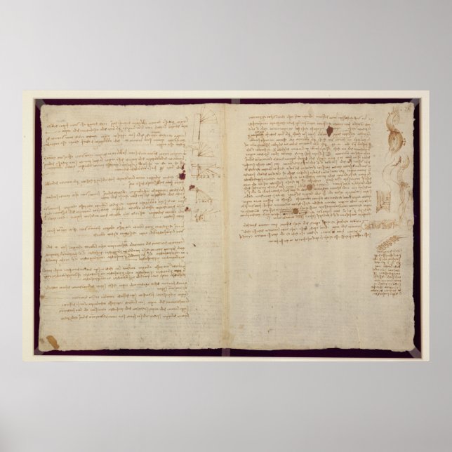 Vetenskapliga diagram poster (Framsidan)