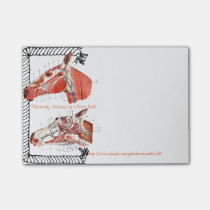 "Veterinär- anatomi av ett hästhuvud ", Post-it Block