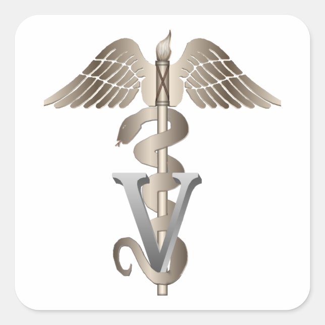 Veterinär- Caduceus Fyrkantigt Klistermärke (Framsida)