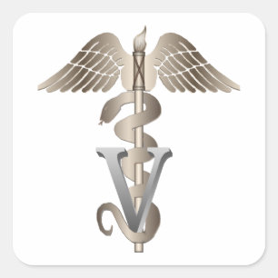 Veterinär- Caduceus Fyrkantigt Klistermärke