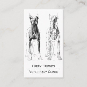 Veterinär för anatomiska undersökningar vid hund tidsbeställning kort