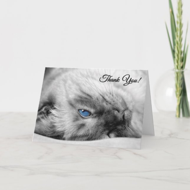 Veterinär från Kat Siamese Tack Kort (Framsida)