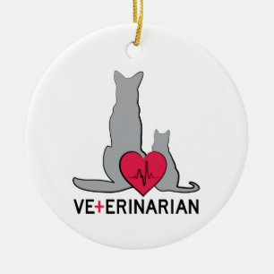 Veterinär Julgransprydnad Keramik