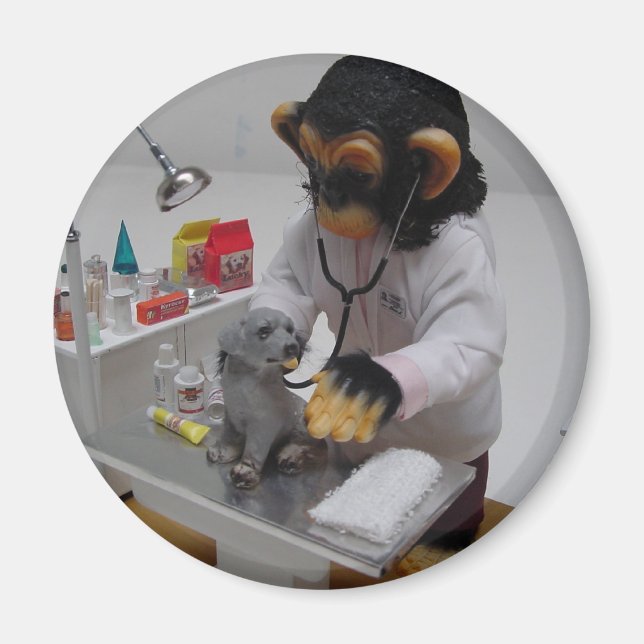 Veterinär Magnet (Framsidan)