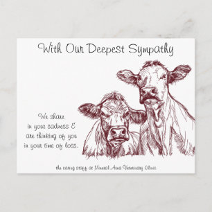 Veterinär Sympathy Card Cows Cattle Vykort