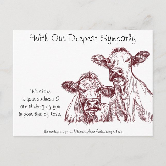 Veterinär Sympathy Card Cows Cattle Vykort (Framsida)