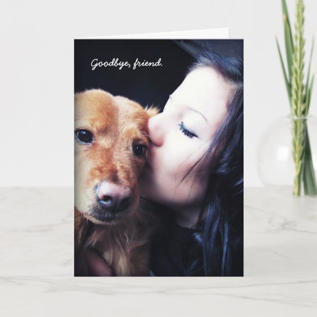 Veterinär Tack för regnbågshonor. Kort (Framsida)