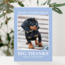 Veterinär Tacksam Hund Foto Blå Modern