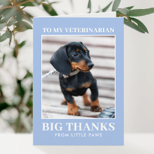Veterinär Tacksam Hund Foto Blå Modern Tack Kort
