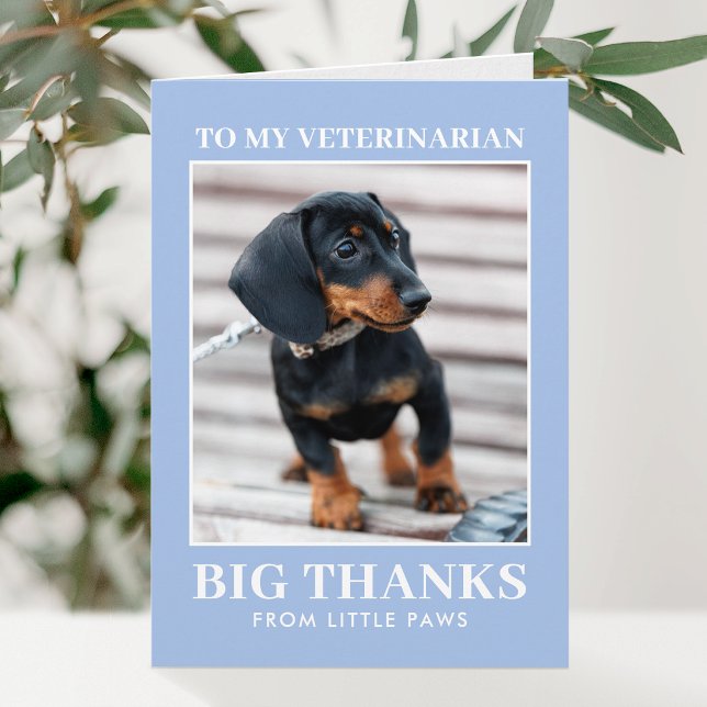 Veterinär Tacksam Hund Foto Blå Modern Tack Kort (Skapare uppladdad)