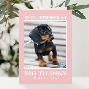 Veterinär Tacksam Hund Foto XOXO Rosa Tack Kort