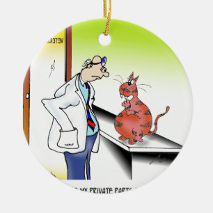 Veterinär- tecknad 9480 julgransprydnad keramik