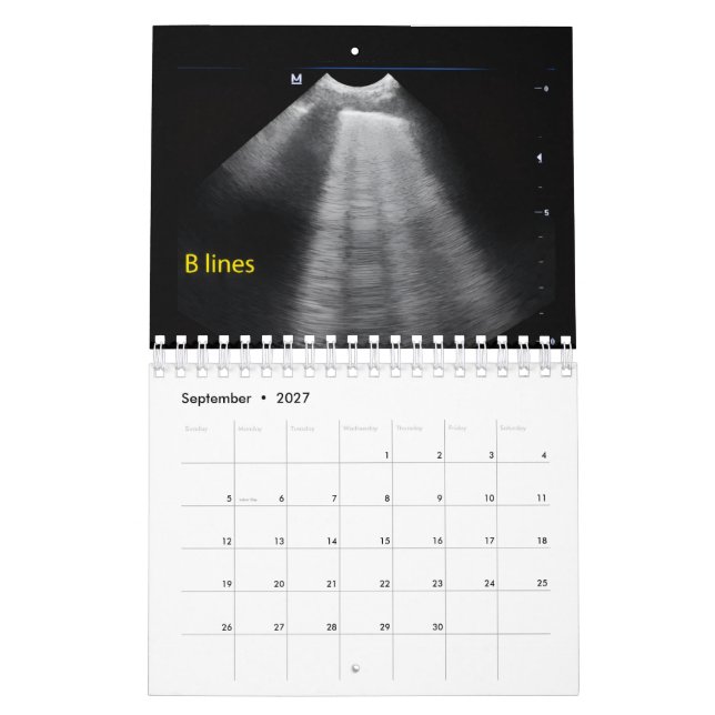 Veterinär Ultraljudskalender Kalender (Sep 2027)
