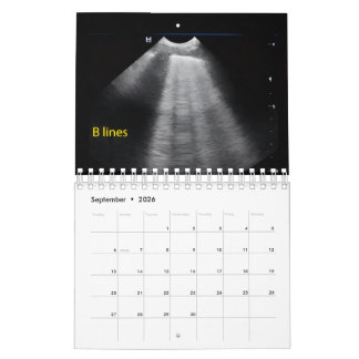 Veterinär Ultraljudskalender Kalender