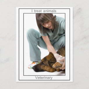 Veterinär Vykort