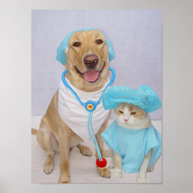 Veterinärens Poster (Framsidan)