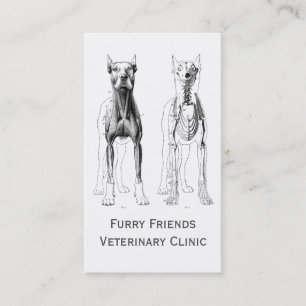 Veterinärer eller veterinära Affärskort Visitkort
