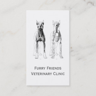 Veterinärer eller veterinära Affärskort Visitkort