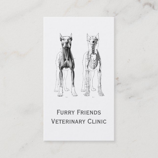 Veterinärer eller veterinära Affärskort Visitkort (Framsida)