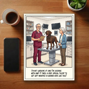 Veterinärjouren Äventyr Tecknad film Vykort