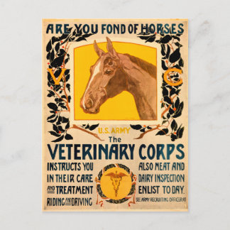 Veterinärkår Vykort