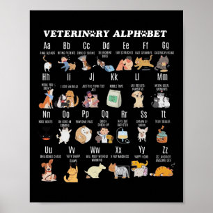 Veterinärmedicin Alphabet Vet Nurse Student Sch Poster