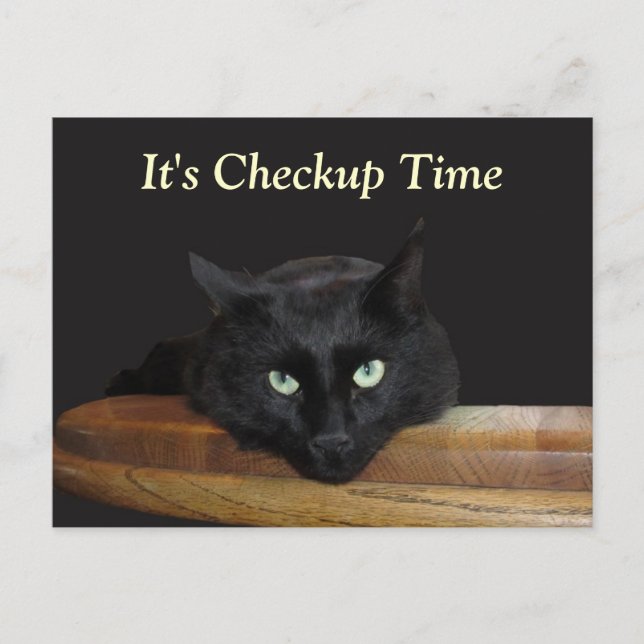 Veterinary Checkup Funny Black Cat-vykort Vykort (Framsida)