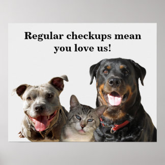 Veterinary Kärlek Din Pets Checkup Poster