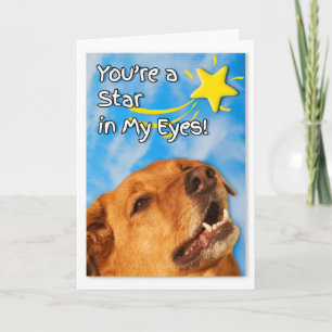 Veterinary Tech Grattiss Golden Retriever Kort
