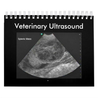 Veterinary Ultrasound Calendar 2024 Kalender