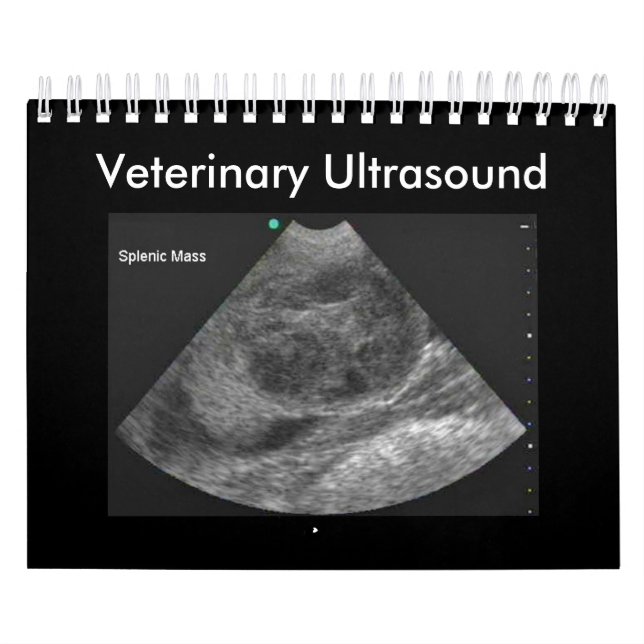 Veterinary Ultrasound Calendar 2024 Kalender (Omslag)